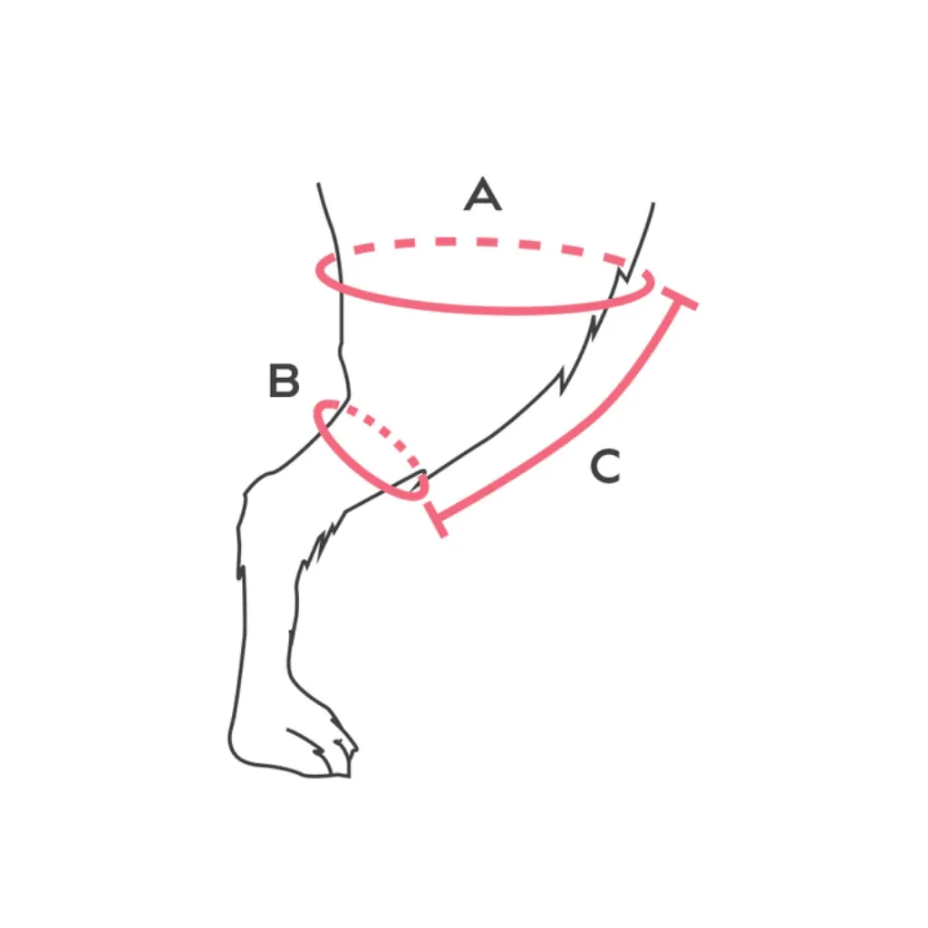 Balto® Jump – Knee Brace [Left & Right]