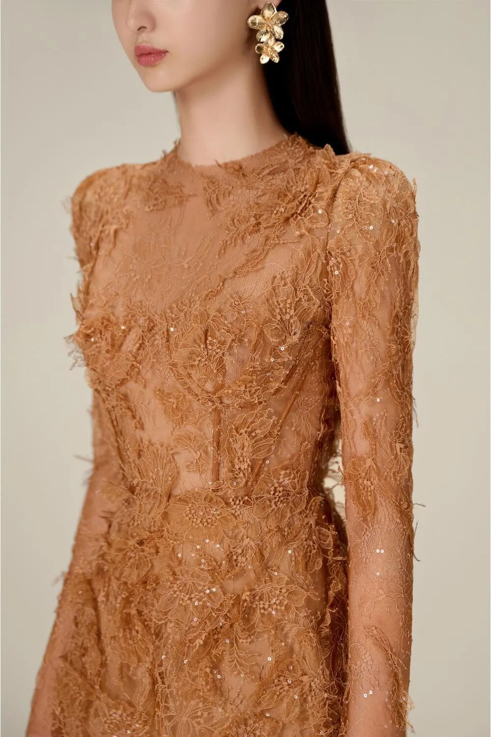 Beaded Lace Dress