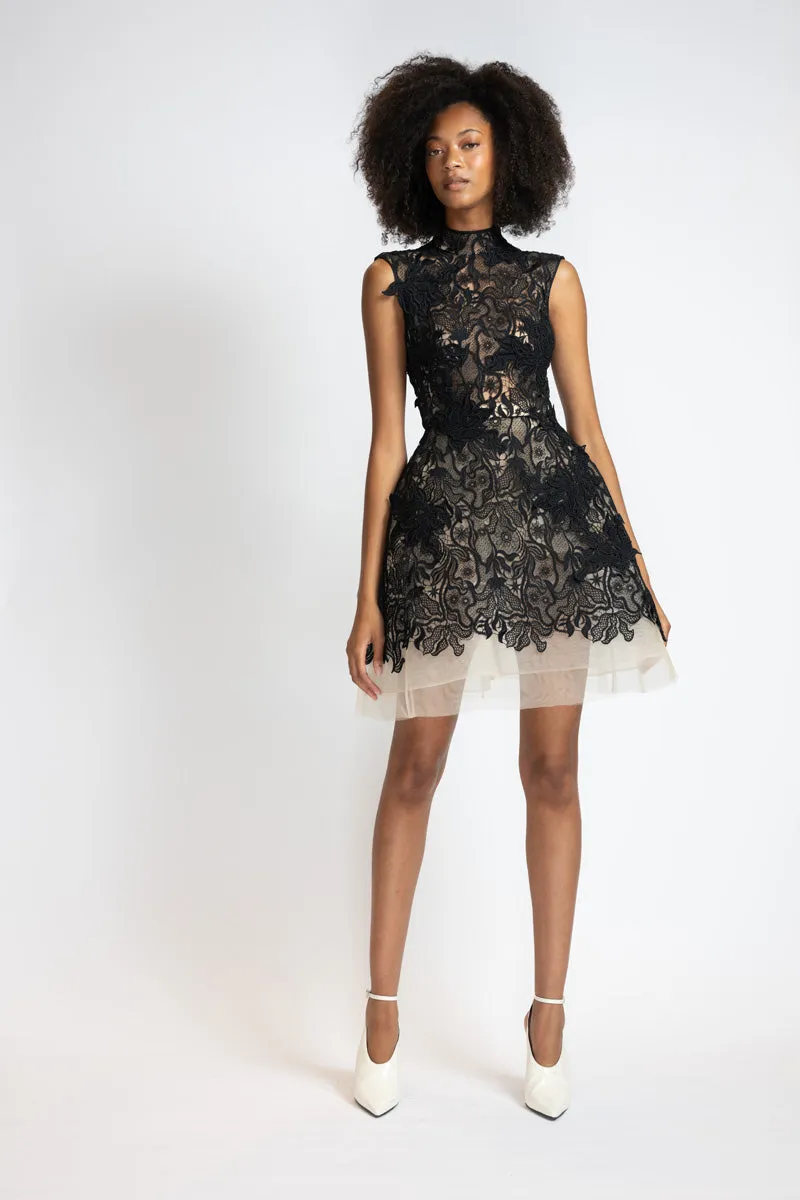 Black Nomad Lace and Blush Tulle Dress with Bell Skirt