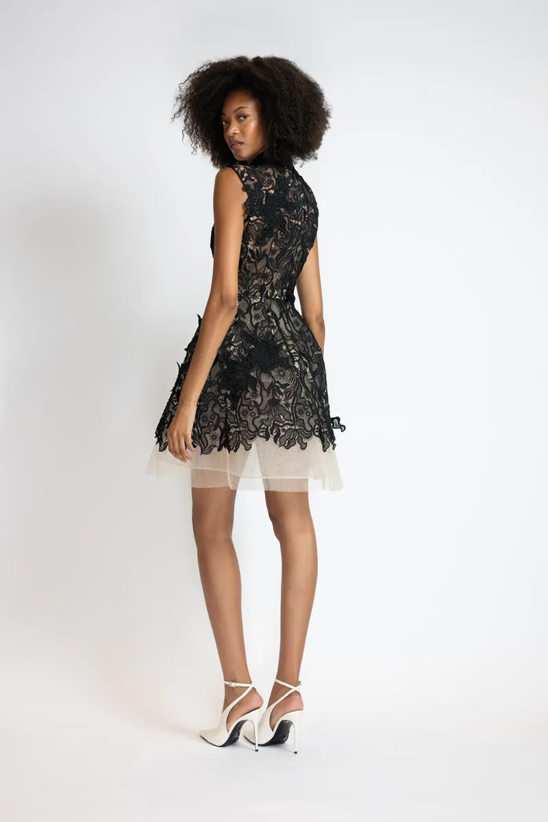 Black Nomad Lace and Blush Tulle Dress with Bell Skirt