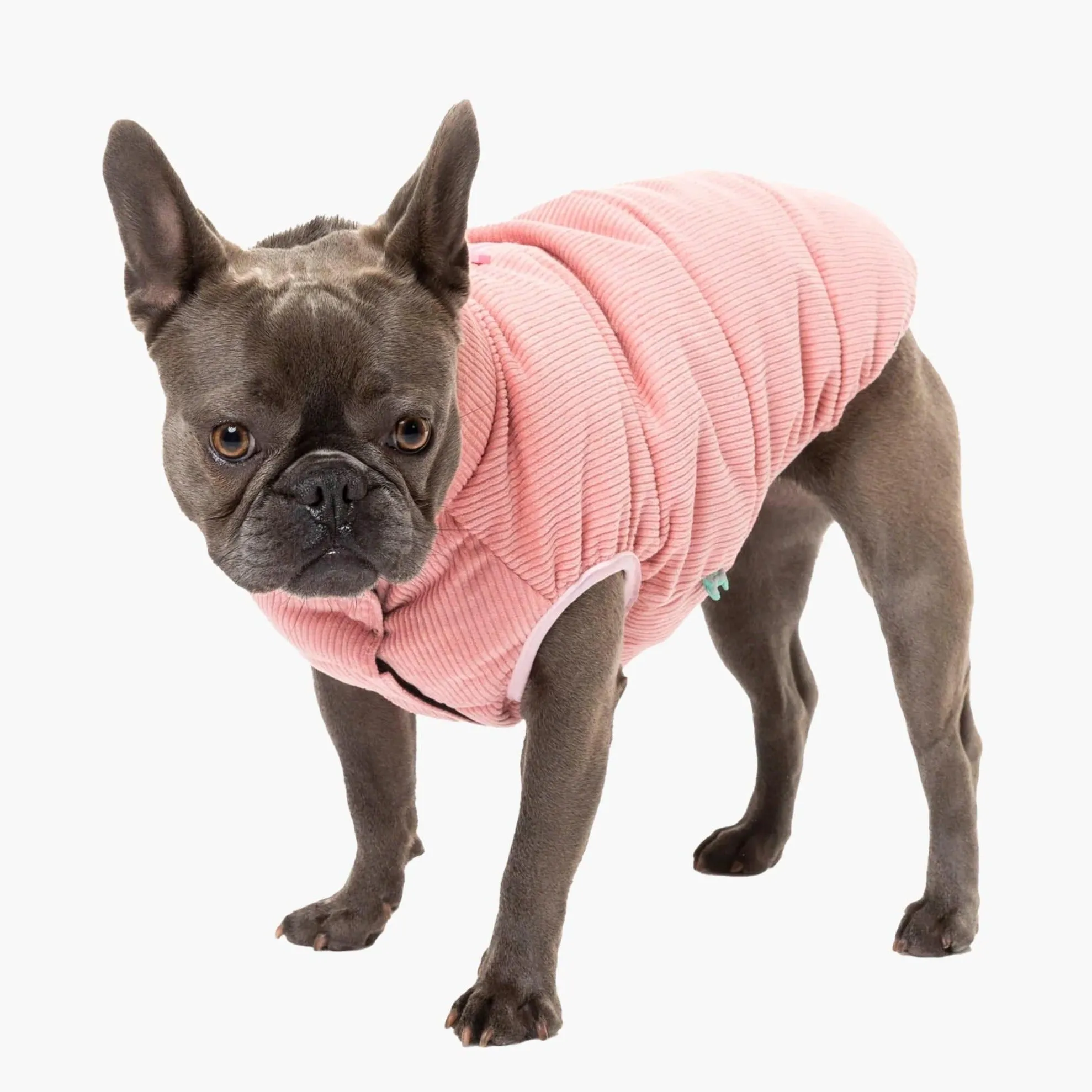 FuzzYard Pink Corduroy Dog Puffer Jacket | Warmth & Style Combined