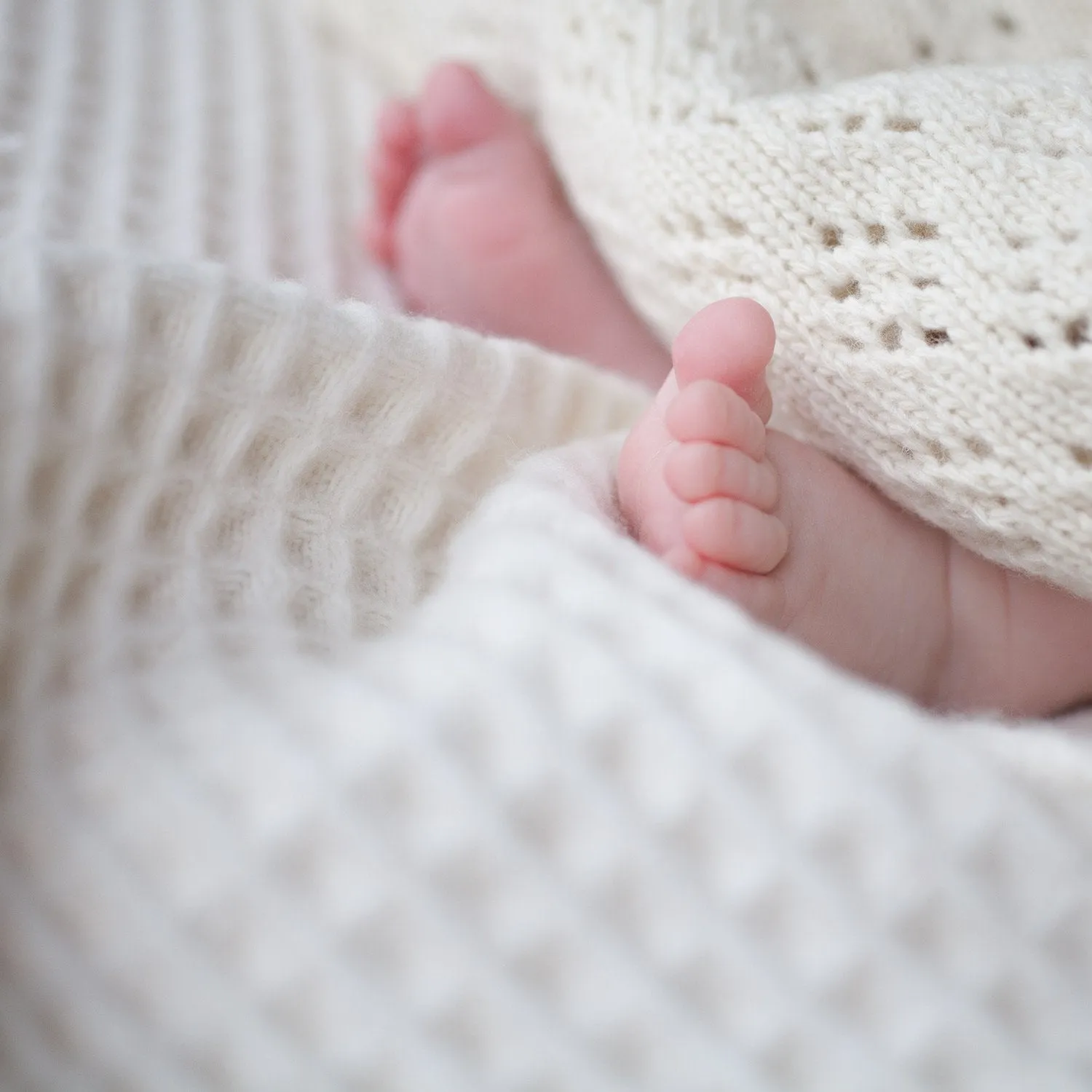 Lambswool Waffle Baby Blanket